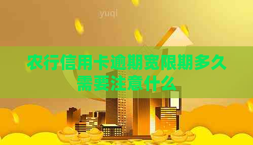 农行信用卡逾期宽限期多久需要注意什么