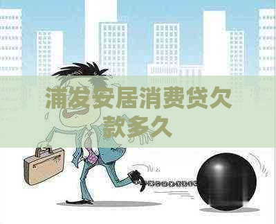 浦发安居消费贷欠款多久