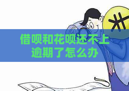 信用卡和白条还不上逾期了怎么办