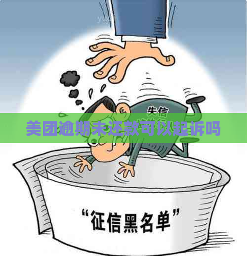 美团逾期未还款可以起诉吗