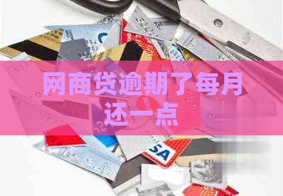 白条贷逾期了每月还一点