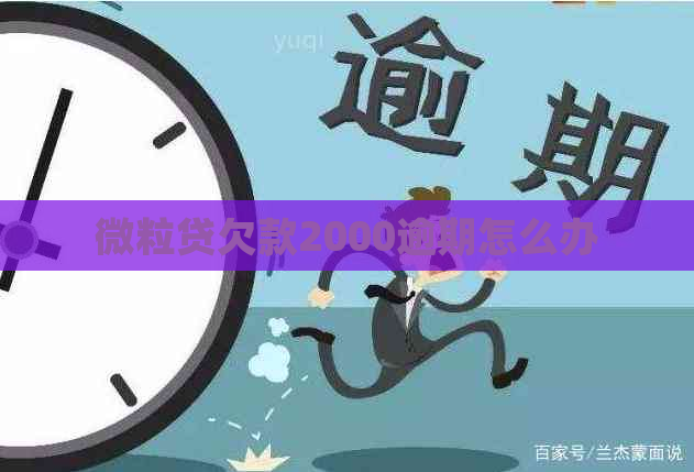 微粒贷欠款2000逾期怎么办