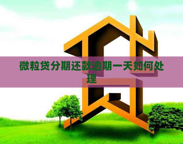 微粒贷分期还款逾期一天如何处理