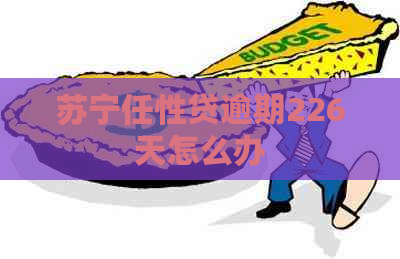 苏宁任性贷逾期226天怎么办