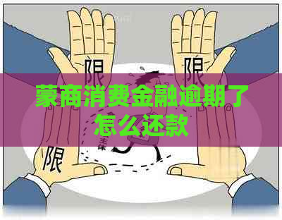 蒙商消费金融逾期了怎么还款