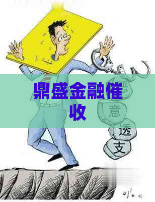 鼎盛金融