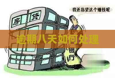 逾期八天如何处理