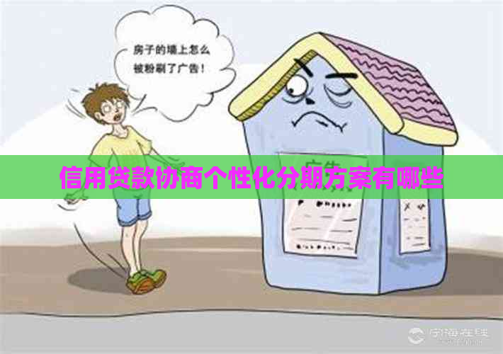信用贷款协商个性化分期方案有哪些