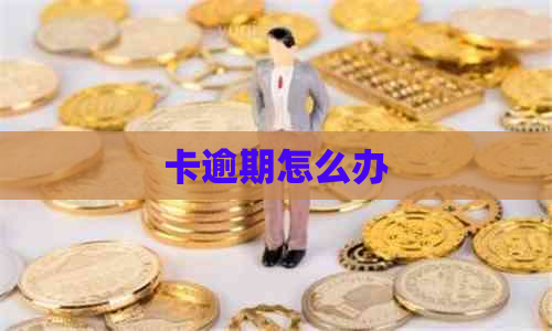卡逾期怎么办