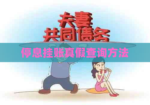 停息挂账真假查询方法