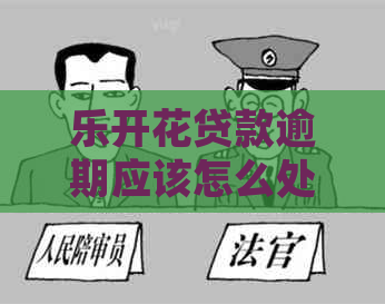 乐开花贷款逾期应该怎么处理