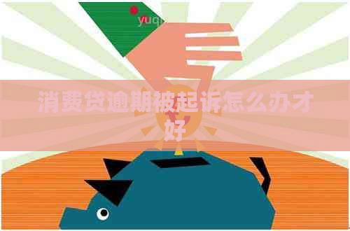 消费贷逾期被起诉怎么办才好