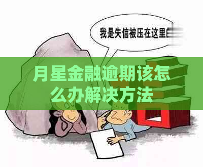 月星金融逾期该怎么办解决方法