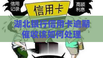 湖北银行信用卡逾期该如何处理