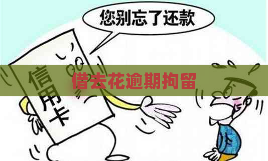 借去花逾期拘留