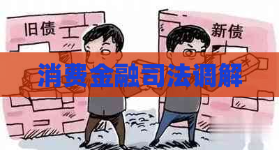 消费金融司法调解