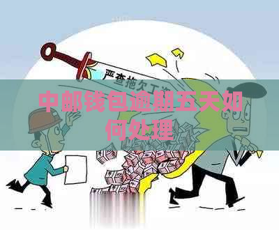 中邮钱包逾期五天如何处理