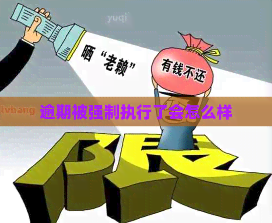 逾期被强制执行了会怎么样