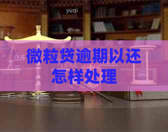 微粒贷逾期以还怎样处理
