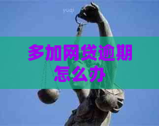 多加网贷逾期怎么办
