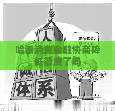 哈银消费金融协商降低额度了吗