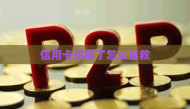 信用卡逾期了怎么自救 信用卡逾期了怎么自救