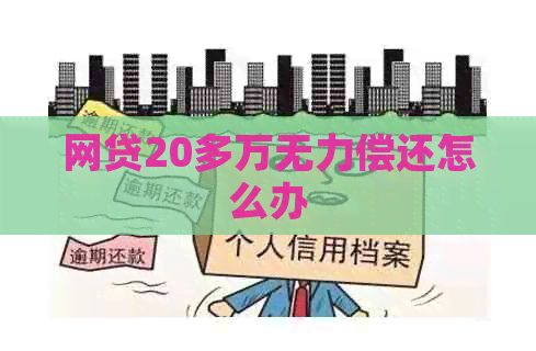 网贷20多万无力偿还怎么办