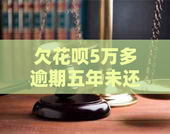 欠白条5万多逾期五年未还