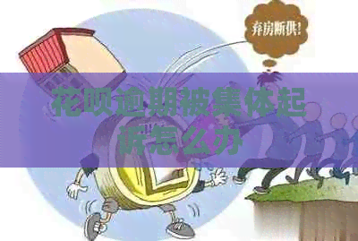 白条逾期被集体起诉怎么办