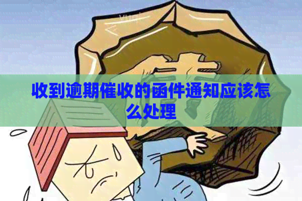 收到逾期的函件通知应该怎么处理