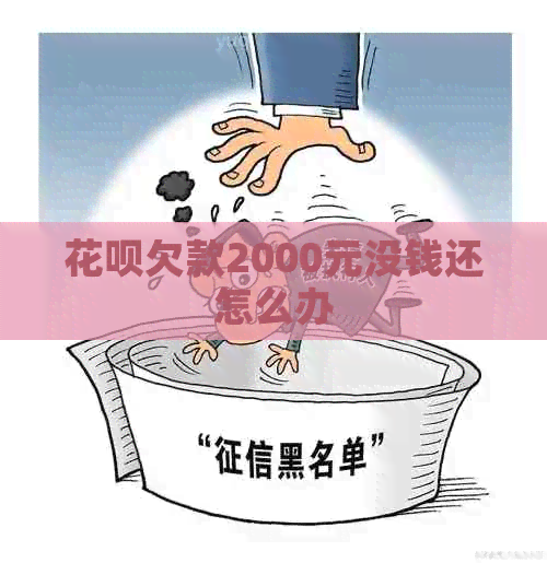 白条欠款2000元没钱还怎么办