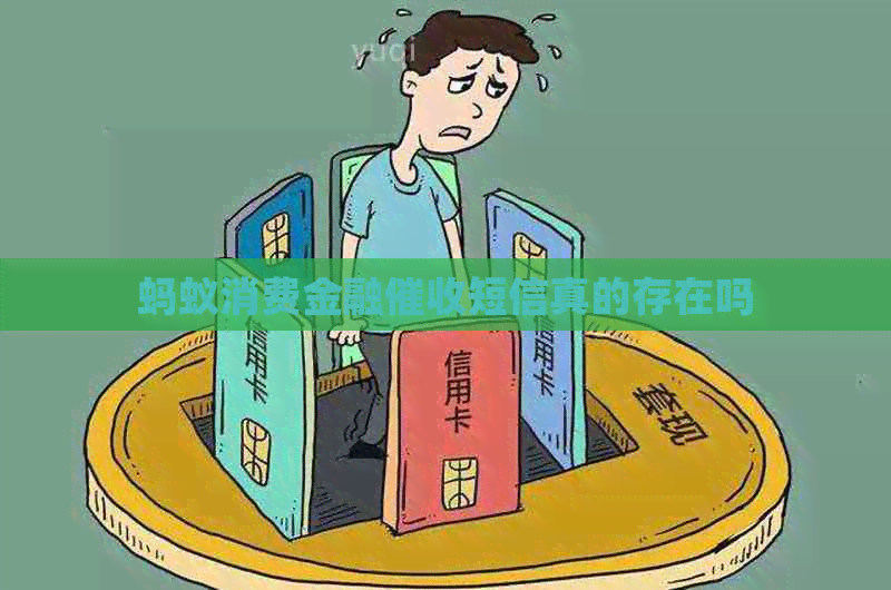 蚂蚁消费金融短信真的存在吗