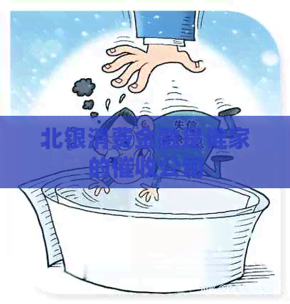 北银消费金融是谁家的公司
