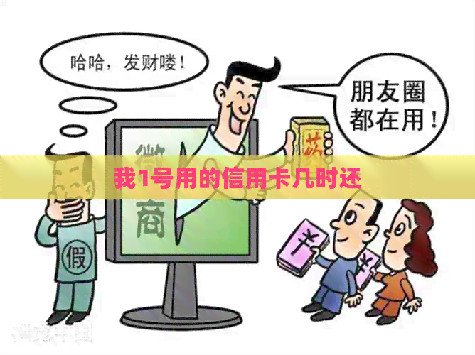 我1号用的信用卡几时还