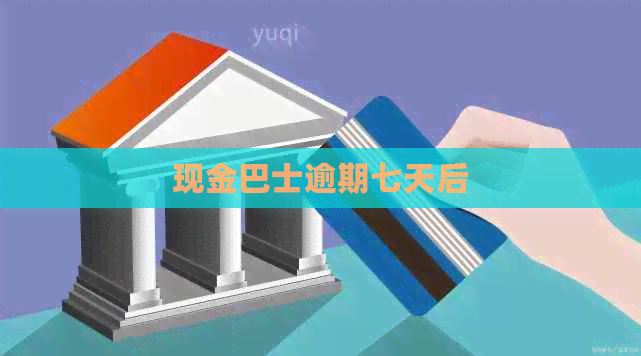 现金巴士逾期七天后 现金巴士逾期七天后