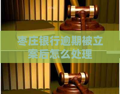 枣庄银行逾期被立案后怎么处理