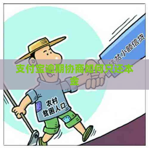 信用卡逾期协商如何只还本金