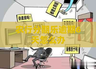 农行逾期6天怎么办