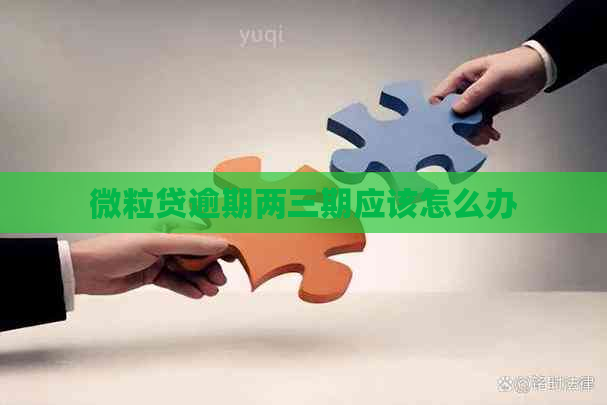 微粒贷逾期两三期应该怎么办