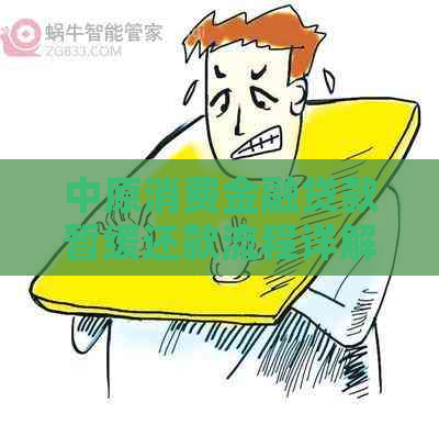 中原消费金融贷款暂缓还款流程详解
