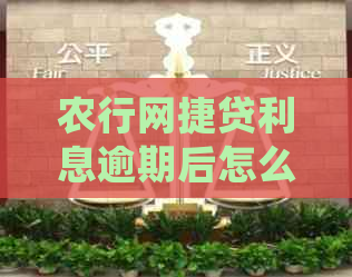 农行网捷贷利息逾期后怎么处理