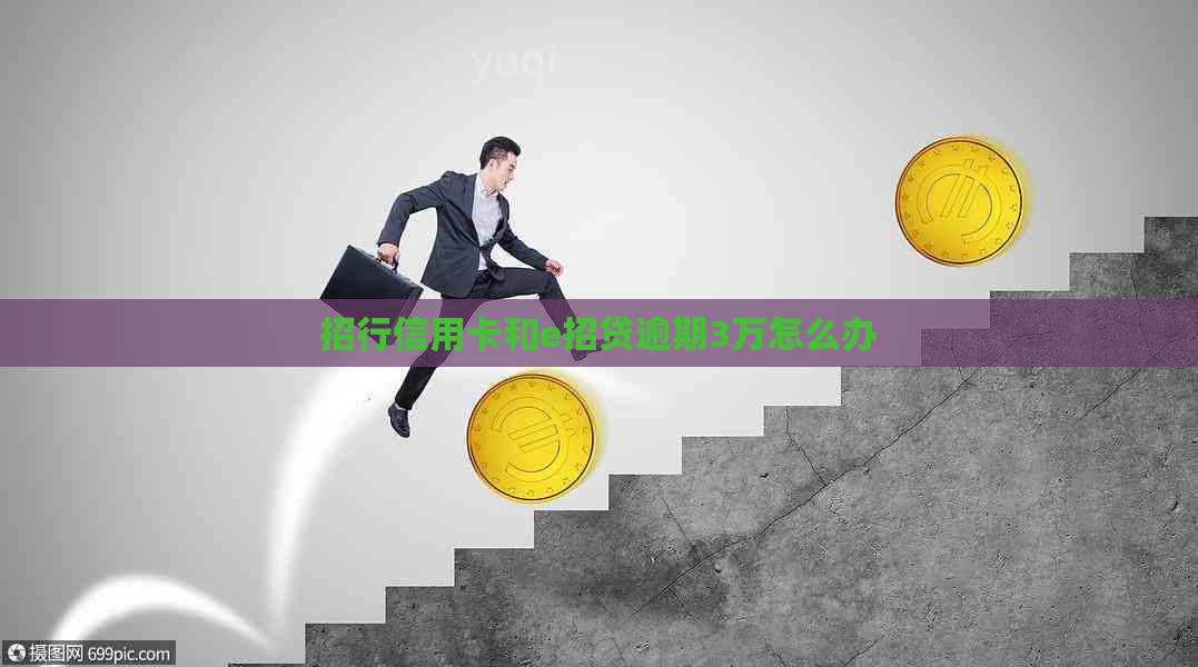 招行信用卡和e招贷逾期3万怎么办