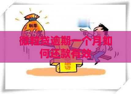 微粒贷逾期一个月如何还款有效