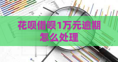 白条信用卡1万元逾期怎么处理