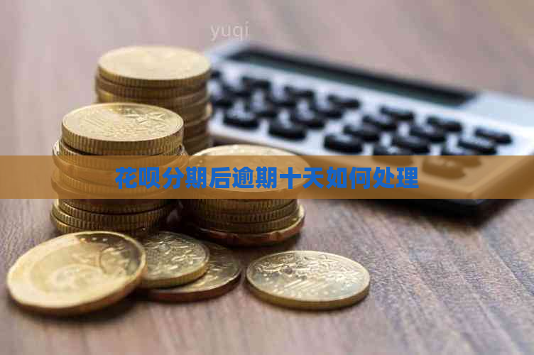 白条分期后逾期十天如何处理