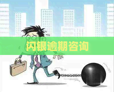 闪银逾期咨询