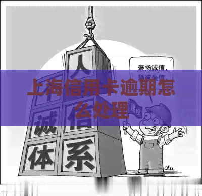 上海信用卡逾期怎么处理