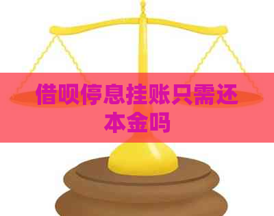 信用卡停息挂账只需还本金吗