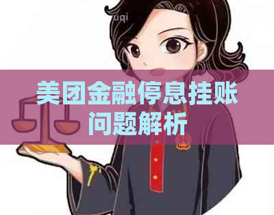美团金融停息挂账问题解析