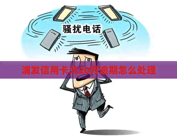 浦发信用卡欠20万逾期怎么处理